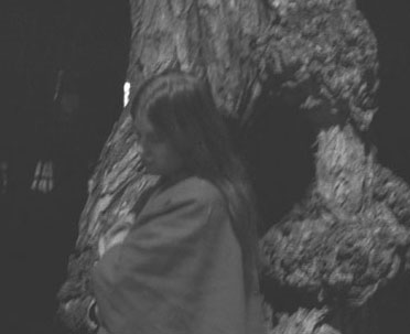 woman and tree at night